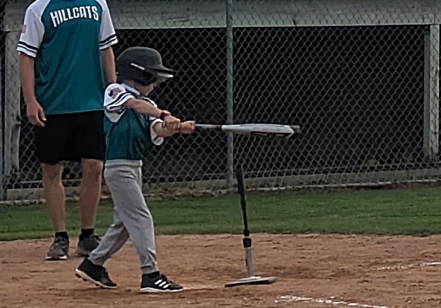 imageedit_108_2560633090